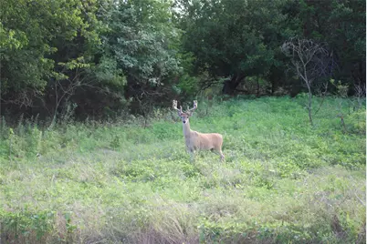 31038 Doe Run Court, Whitney, TX 76692 - Photo 12