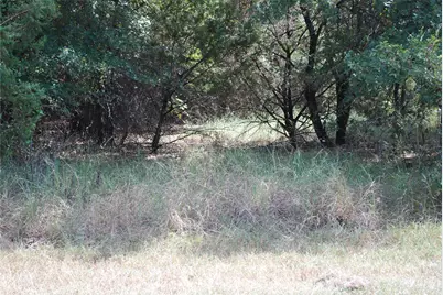 31038 Doe Run Court, Whitney, TX 76692 - Photo 2