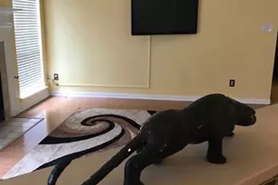 1135 Sawsawi, DeSoto, TX 75115 - Photo 8