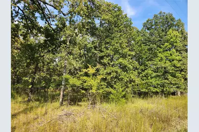 Lot 31 Fox Point Road, Quinlan, TX 75474 - Photo 4