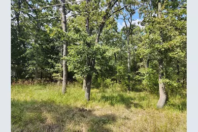 Lot 31 Fox Point Road, Quinlan, TX 75474 - Photo 8