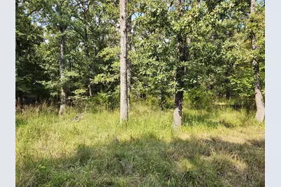 Lot 31 Fox Point Road, Quinlan, TX 75474 - Photo 1