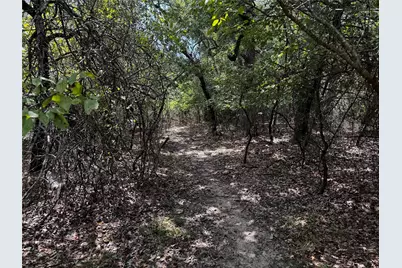 Tbd Scenic Wood Drive, Reno, TX 76020 - Photo 6