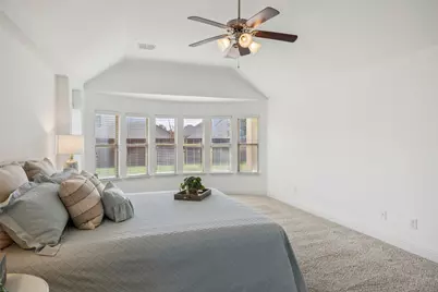 1616 Downing Drive, Aubrey, TX 76227 - Photo 20