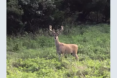 13005 Crestwood Drive, Whitney, TX 76692 - Photo 24