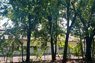 910 W Elm St, Stephenville, TX 76401 - Photo 34