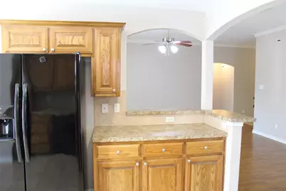 123 Pony Express Trail, Willow Park, TX 76087 - Photo 30