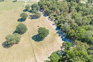 12126 FM 59, Athens, TX 75751 - Photo 18