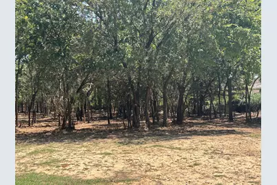 335 S Ash Avenue, Azle, TX 76020 - Photo 10