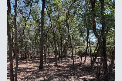 335 S Ash Avenue, Azle, TX 76020 - Photo 6