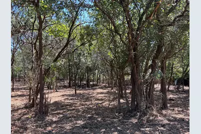 335 S Ash Avenue, Azle, TX 76020 - Photo 4