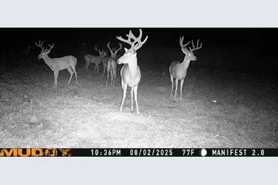 N/A Us-377 Highway, Whitesboro, TX 76273 - Photo 8