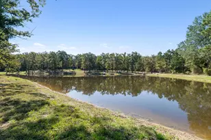 14460 County Rd 46, Tyler, TX 75704 - Photo 30