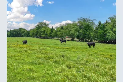 Tract 2 Fm 855, Jacksonville, TX 75766 - Photo 4