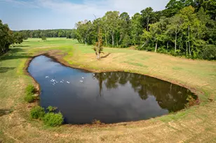 1323 An County Rd 153, Palestine, TX 75801 - Photo 1