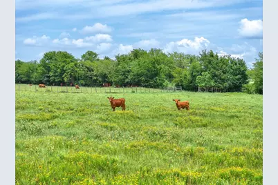 Tract 9 County Road 3415, Jacksonville, TX 75766 - Photo 8