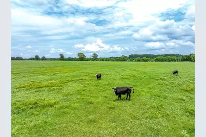 Tract 10 Cr 3415, Jacksonville, TX 75766 - Photo 6