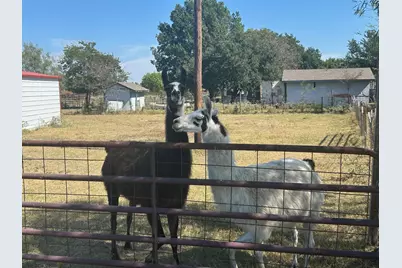 6524 Fair Road, Kaufman, TX 75142 - Photo 32