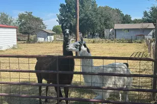 6524 Fair Rd, Kaufman, TX 75142 - Photo 32