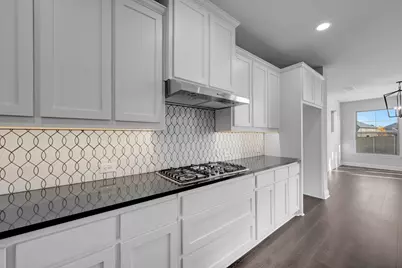 9004 Chestnut Lane, Justin, TX 76247 - Photo 20