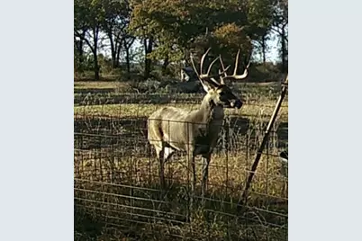 300 Chandler Road, Lipan, TX 76462 - Photo 8