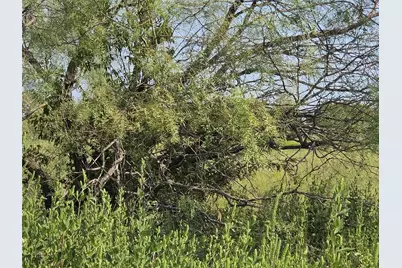 Lot 3 Old Peninsula Trail, Corsicana, TX 75109 - Photo 34