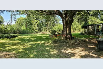 85 County Road 1435, Mt Pleasant, TX 75455 - Photo 4