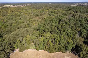 2026 Co Rd 3234, Quitman, TX 75783 - Photo 10