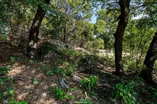 1814 Co Rd 351, Merkel, TX 79536 - Photo 12