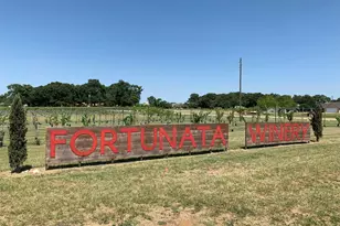 14231 Bacton Rd, Pilot Point, TX 76258 - Photo 10