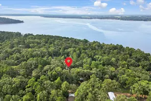 220 Dale Dr, Avinger, TX 75630 - Photo 30