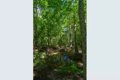 0 County Road 2592, Marietta, TX 75568 - Photo 8