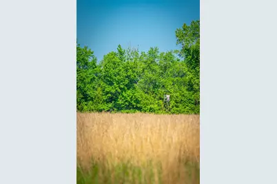 0 County Road 2592, Marietta, TX 75568 - Photo 18