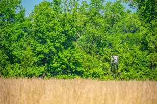 0 Co Rd 2592, Marietta, TX 75568 - Photo 18