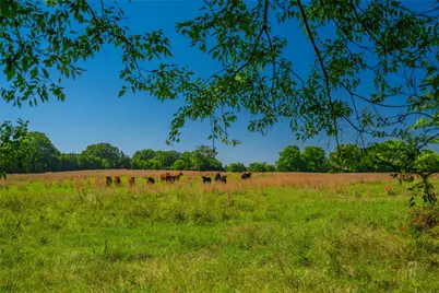 0 County Road 2592, Marietta, TX 75568 - Photo 14