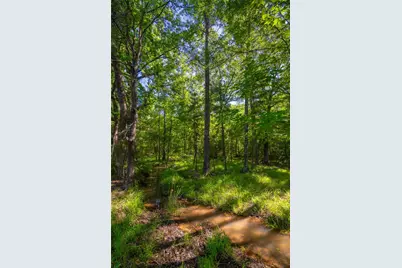 0 County Road 2592, Marietta, TX 75568 - Photo 6