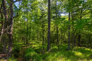 0 Co Rd 2592, Marietta, TX 75568 - Photo 6