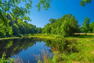 0 Co Rd 2592, Marietta, TX 75568 - Photo 10