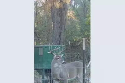 902 Vz County Road 3710, Edgewood, TX 75117 - Photo 38