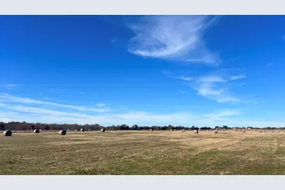 269 Vz County Road 4305 Drive, Ben Wheeler, TX 75754 - Photo 2