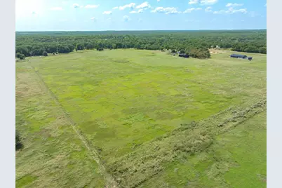 269 Vz County Road 4305 Drive, Ben Wheeler, TX 75754 - Photo 16