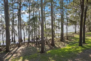 229 County Rd 3637, Jefferson, TX 75657 - Photo 40