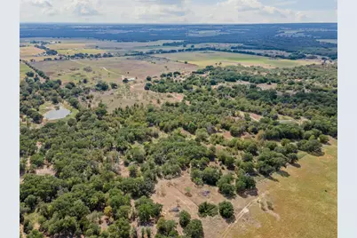 451 County Road 4975, Desdemona, TX 76445 - Photo 14