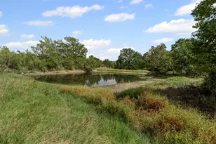 451 Co Rd 4975, Desdemona, TX 76445 - Photo 1