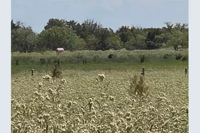 Tbd 20 Acres SE Cr 3150, Corsicana, TX 75109 - Photo 18