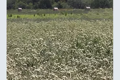 Tbd 20 Acres SE Cr 3150, Corsicana, TX 75109 - Photo 16