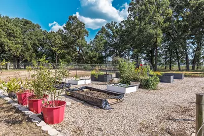 4465 County Road 3504, Sulphur Springs, TX 75482 - Photo 28