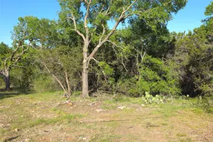 135 Elm St, Palo Pinto, TX 76484 - Photo 12