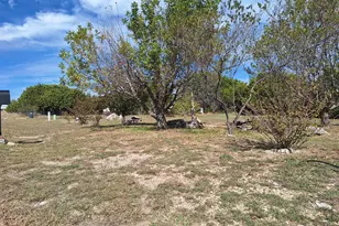 119 Garnet Dr, Weatherford, TX 76087 - Photo 24