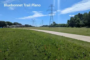 1616 Montana Trail, Plano, TX 75023 - Photo 8